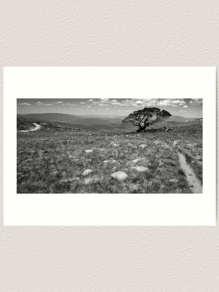 Alternate view of Tree on Mt Stirling, Victoria Art Print