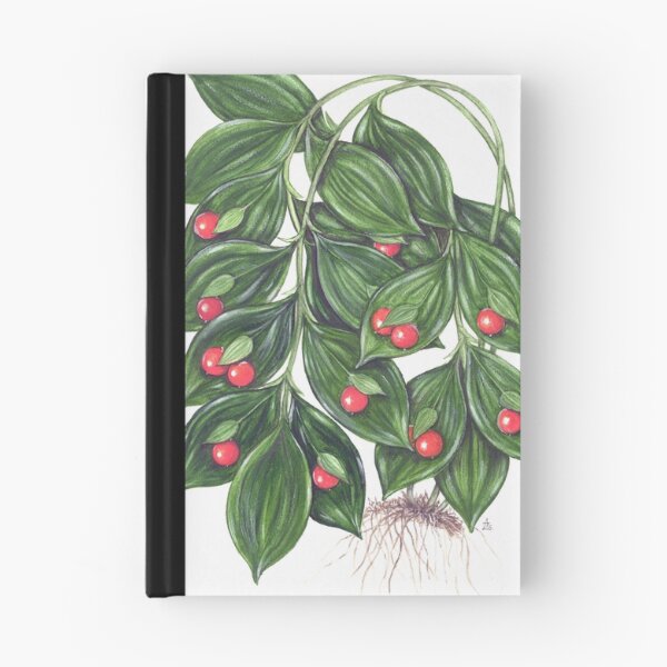 Item preview, Miraculous Berry - Ruscus hypoglossum designed and sold by Sue Abonyi.