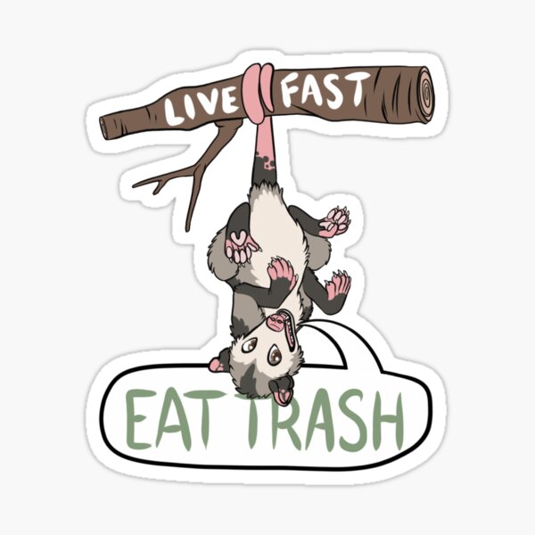 Live Fast! Eat Trash! Pin for Sale by vincenttrinidad