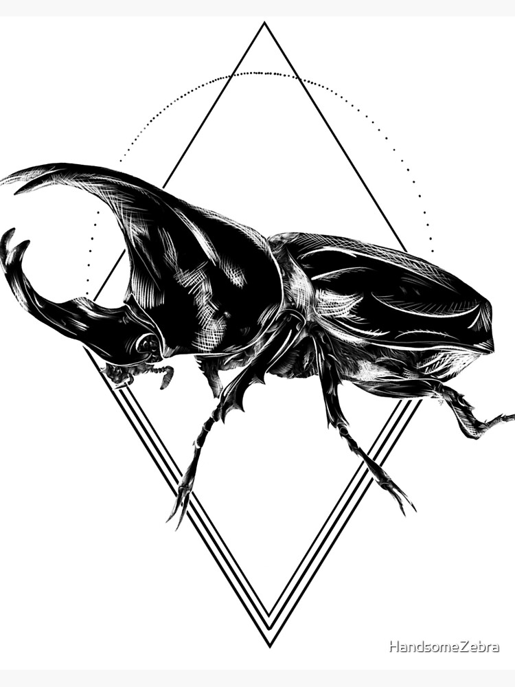 Stock Art Drawing of a Japanese Rhinoceros Beetle  inkart