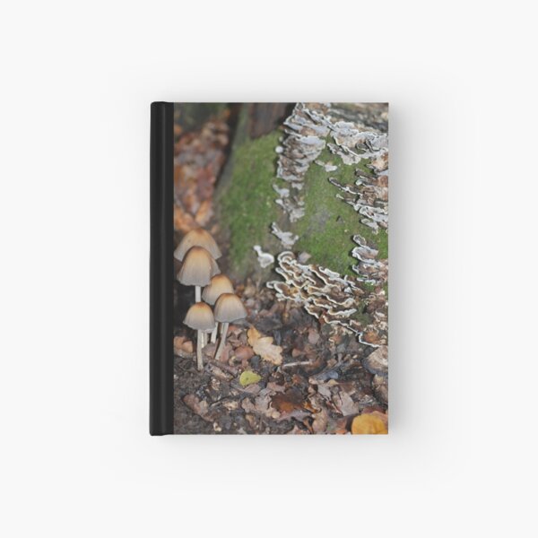 Fungy in Autumn Hardcover Journal