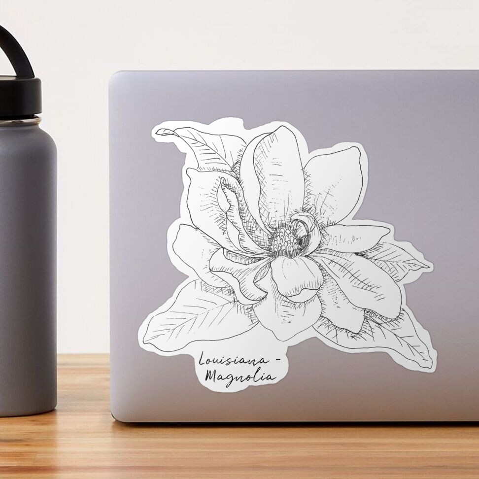 Magnolia Louisiana State Flower Illustration Sticker for Sale by  JourneyHomeMade