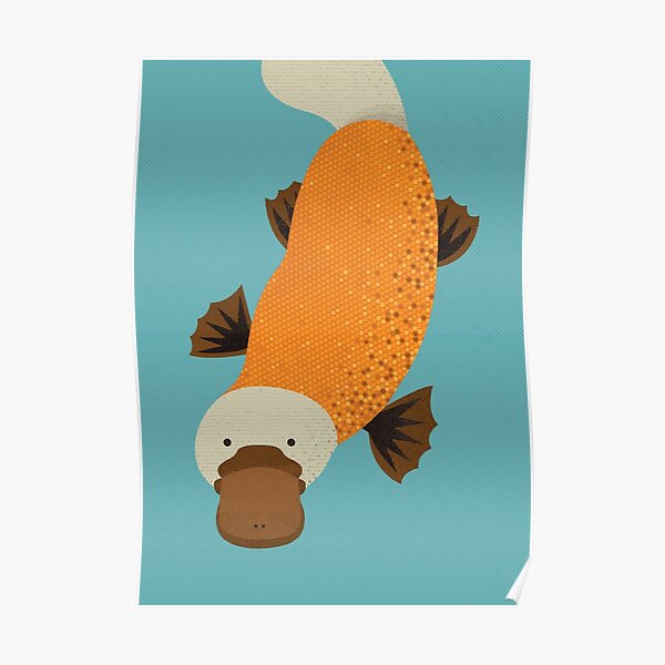 Whimsy Platypus Poster
