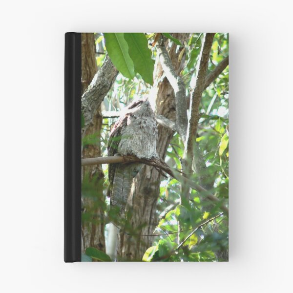 Artikelvorschau, Frogmouth #1 all by Myself entworfen und verkauft von ginnymac.