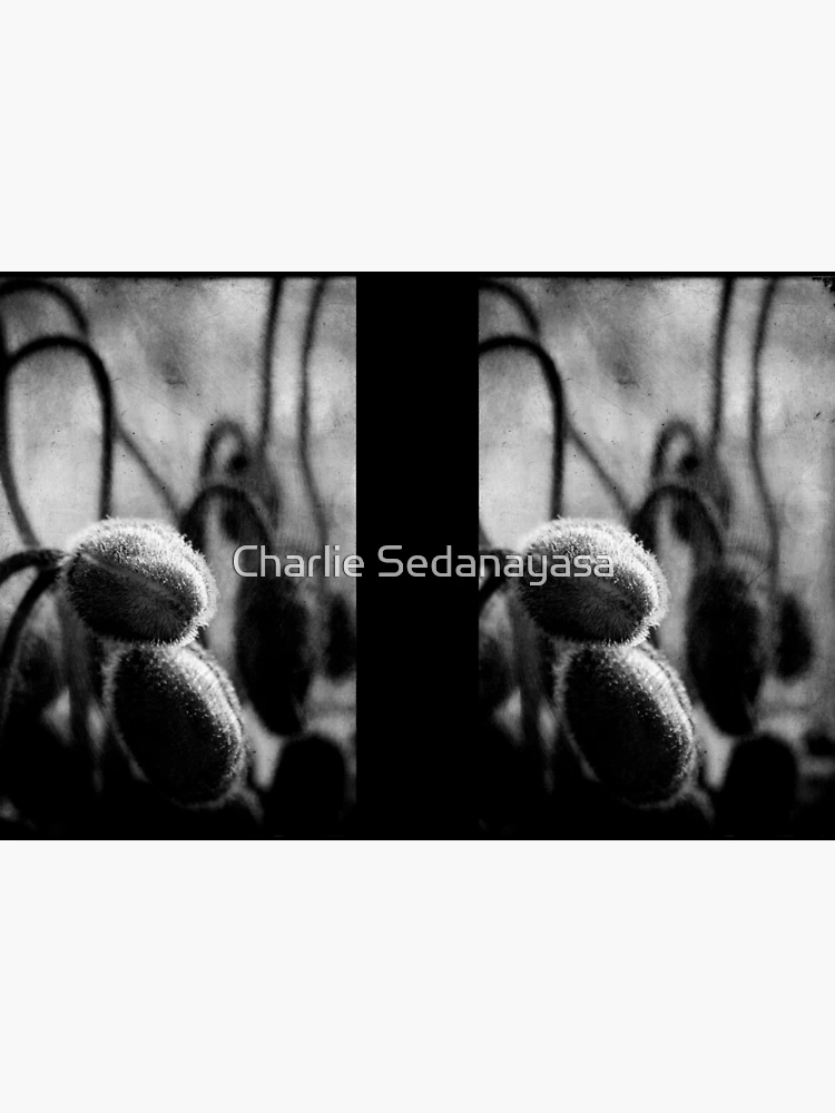 Thumbnail 3 of 3, Journal, ~` designed and sold by Charlie Sedanayasa.