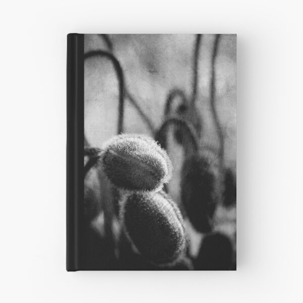 Item preview, ~` designed and sold by Charlie Sedanayasa.