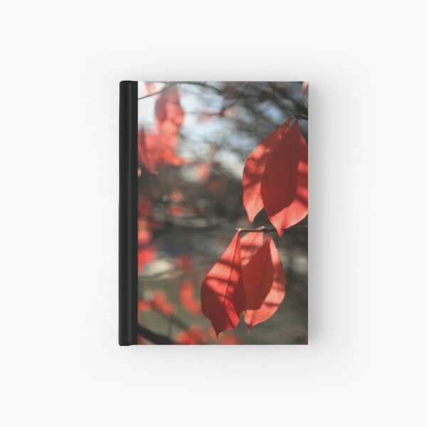 Hanging By A Moment Hardcover Journal