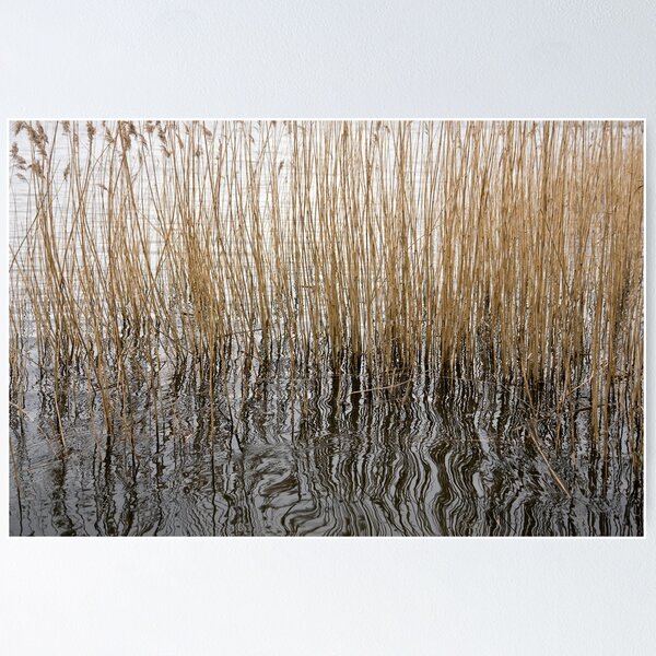Artikelvorschau, Stalk reflections entworfen und verkauft von dominiquelandau.