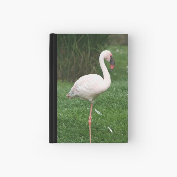 Pinky Hardcover Journal