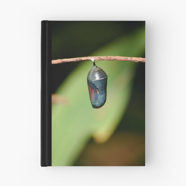 Item preview, late summer Chrysalis designed and sold by Roslyn Lunetta.