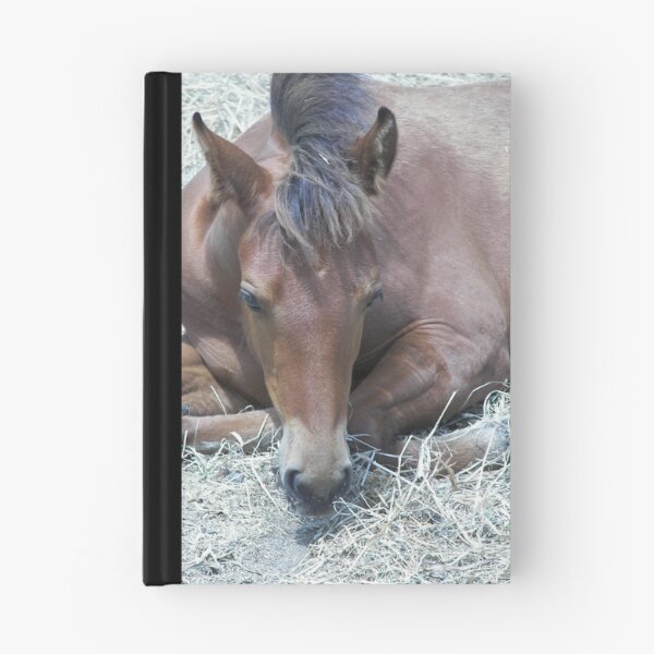 Item preview, Foal Resting designed and sold by kimbarose.
