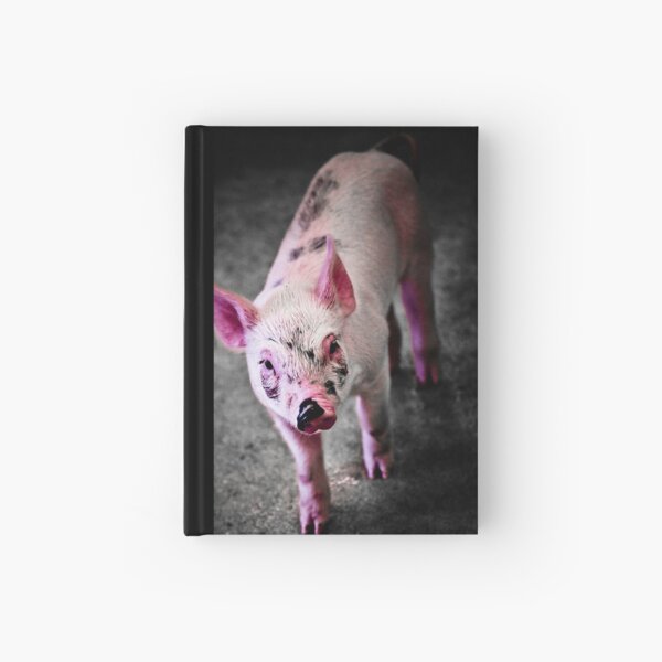 Pink Hardcover Journal
