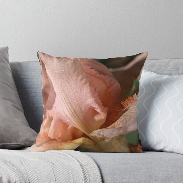 Item preview, She's Soft On You designed and sold by Joy Watson - Natural Light Photography .