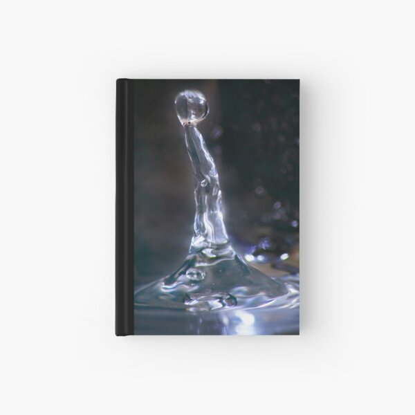 Ness Hardcover Journal