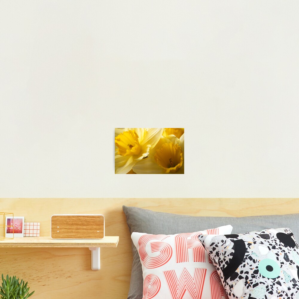 Item preview, Photographic Print designed and sold by pluffy.