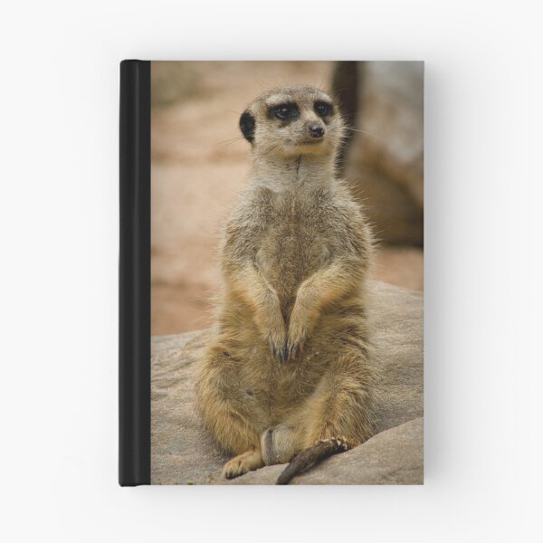 Item preview, Just chillin... designed and sold by Gayle Shaw.