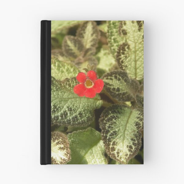 Item preview, Red and green designed and sold by houk.