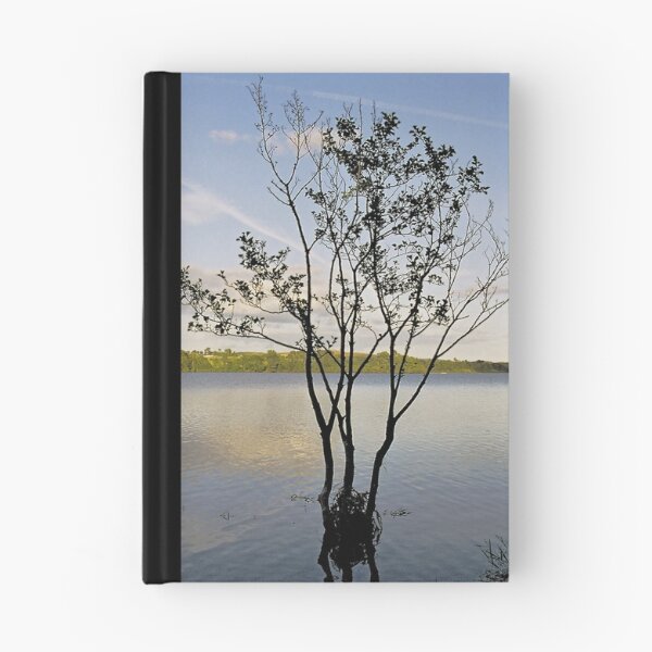 Item preview, Rising Damp designed and sold by WatscapePhoto.