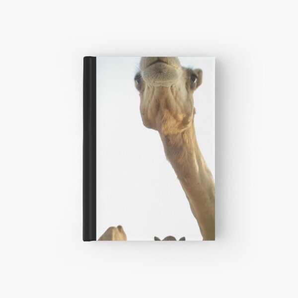 MY Camel Hardcover Journal