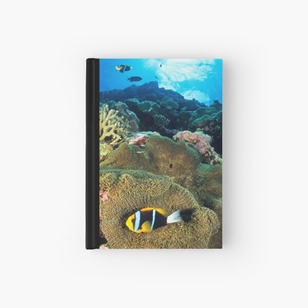 Anemonefish Hardcover Journal
