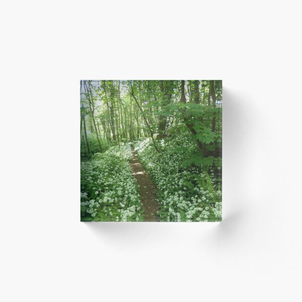 Item preview, Wild garlic in the woodlands designed and sold by WyldArt.