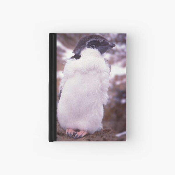 Young Punk Hardcover Journal