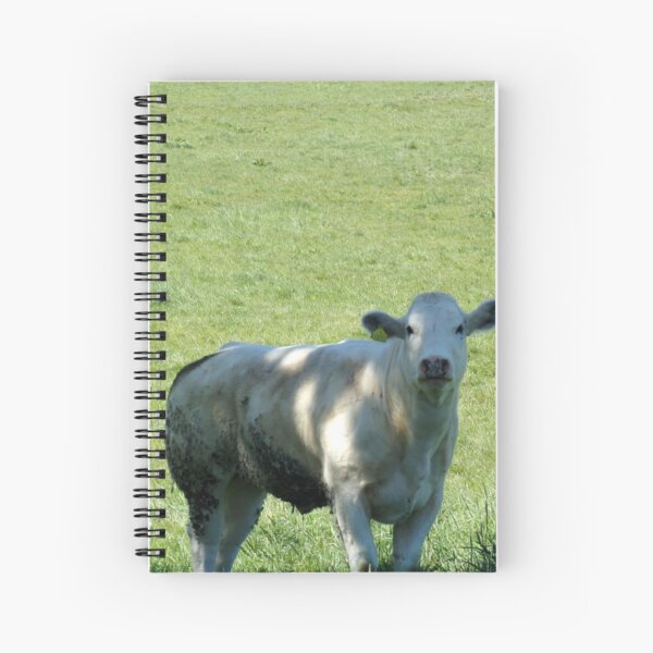 Cow Spiral Notebook