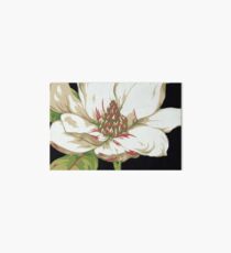 Sweet Magnolia #2 Art Board