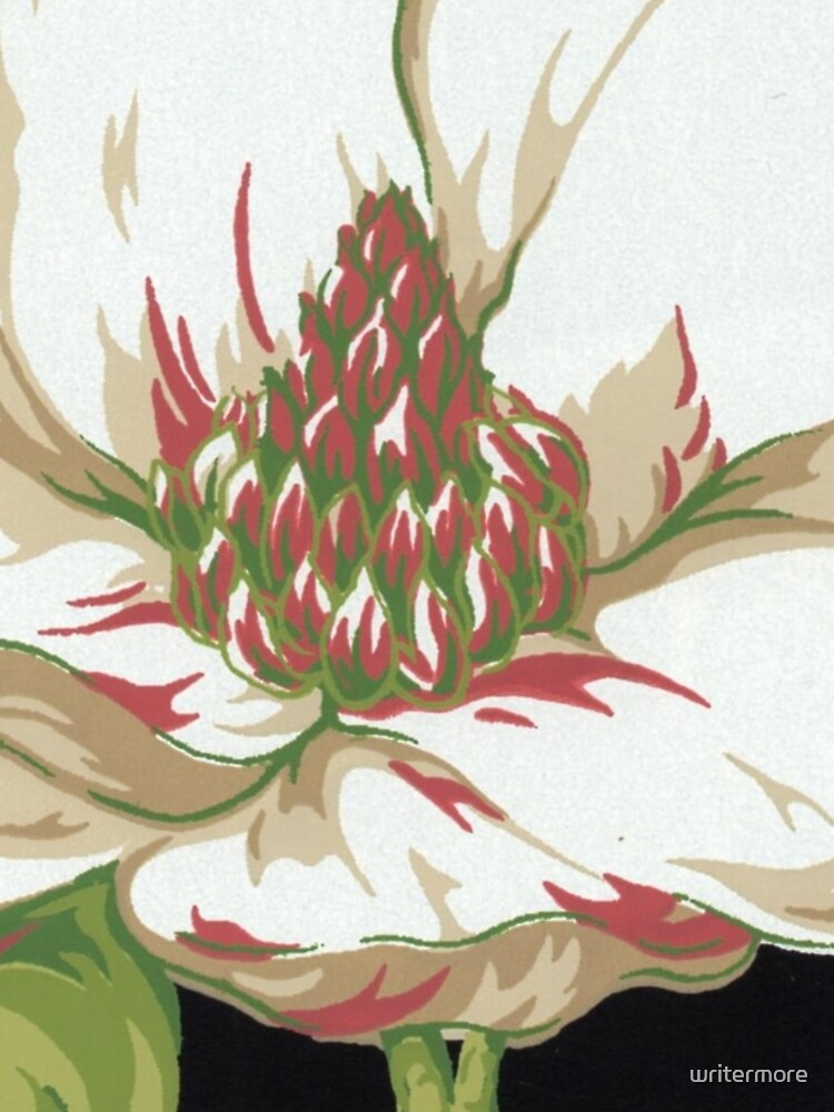 Sweet Magnolia #2 by writermore