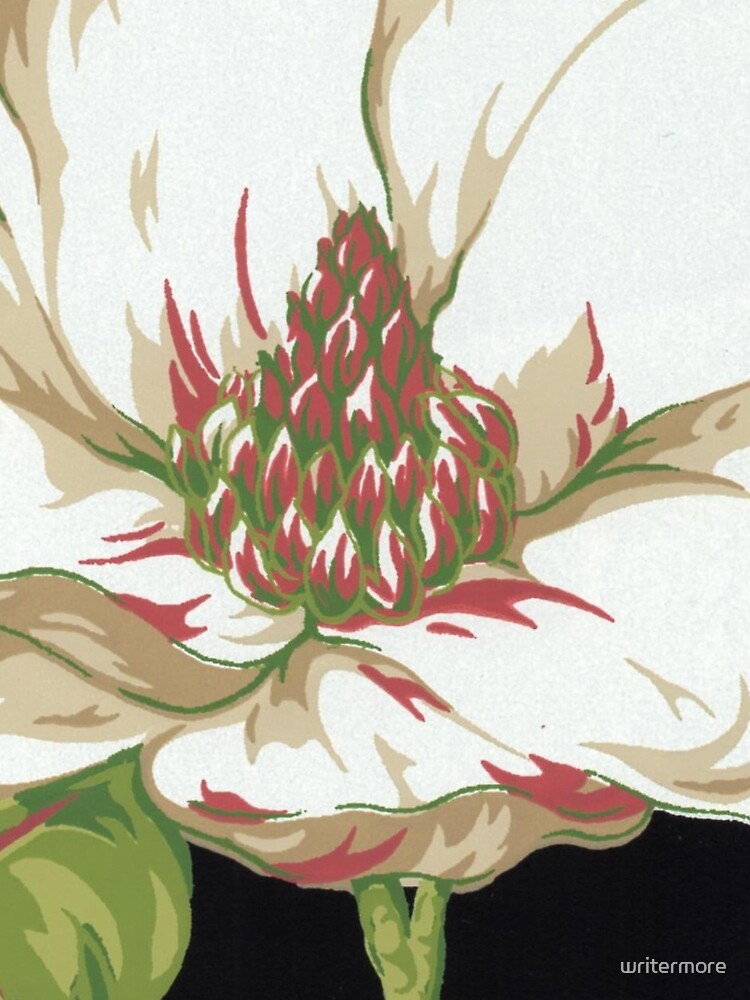 Sweet Magnolia #2 by writermore