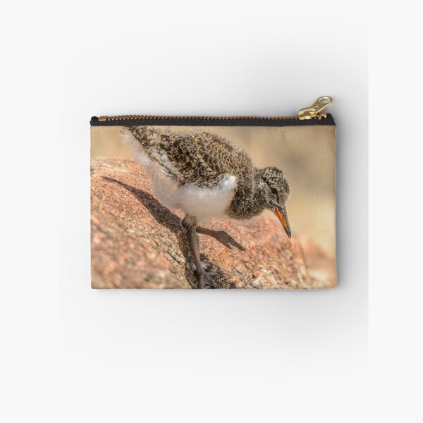Item preview, Oystercatcher Chick 02 designed and sold by Werner Padarin.
