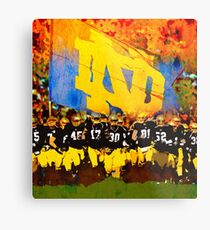 Irish in Color Metal Print