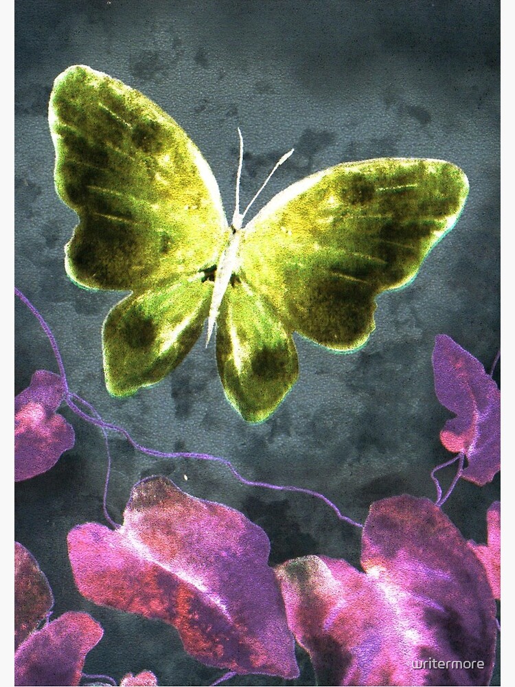 Dreams of Butterflies by writermore
