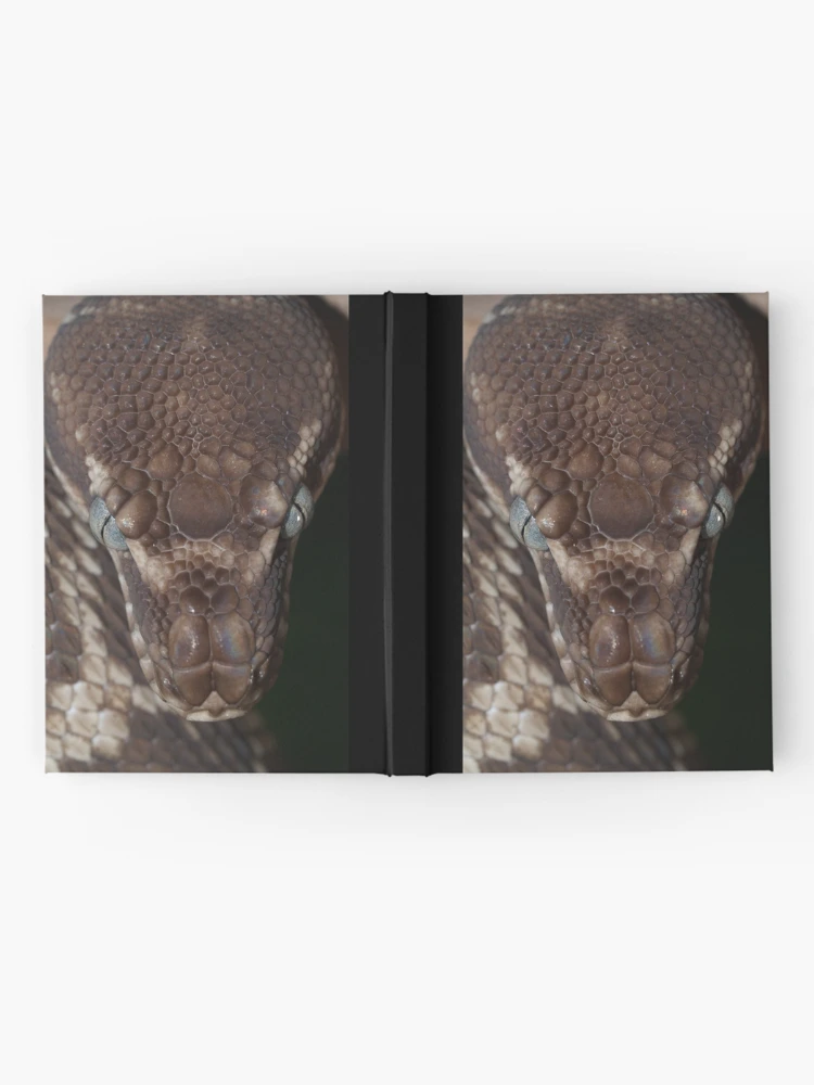 Thumbnail 2 of 3, Journal, Rough Scaled Python designed and sold by Steve Bullock.