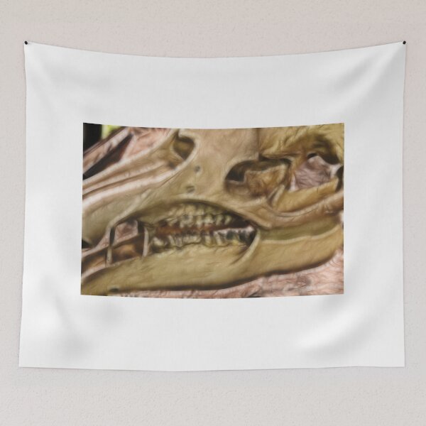 Item preview, Dinosour Skull designed and sold by BritishYank.