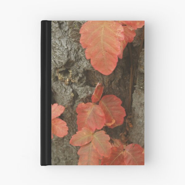 Aperçu de l'œuvre Fall Colors créée et vendue par Ray Rozelle.