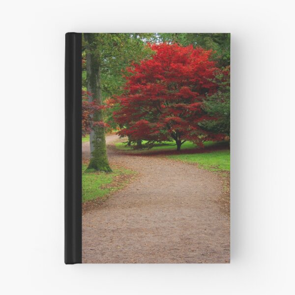 Item preview, Maple Tree, Westonbirt Arboretum designed and sold by Victoria Ashman.