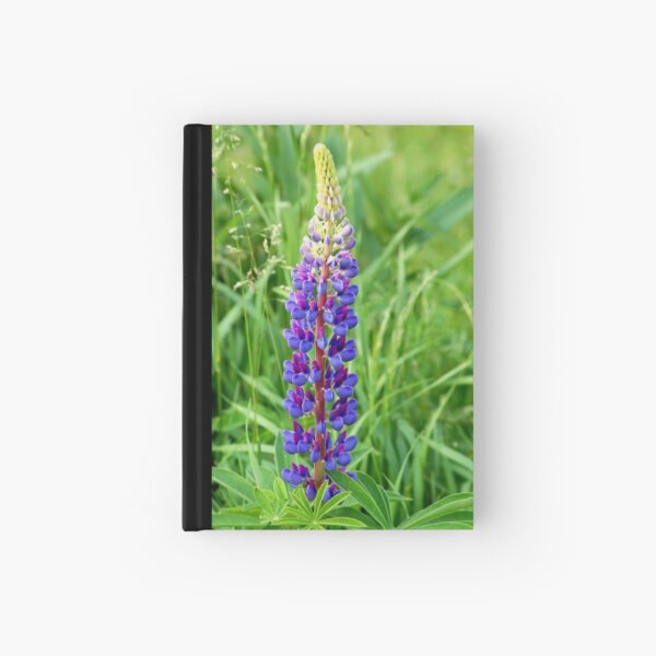 single lupine Hardcover Journal