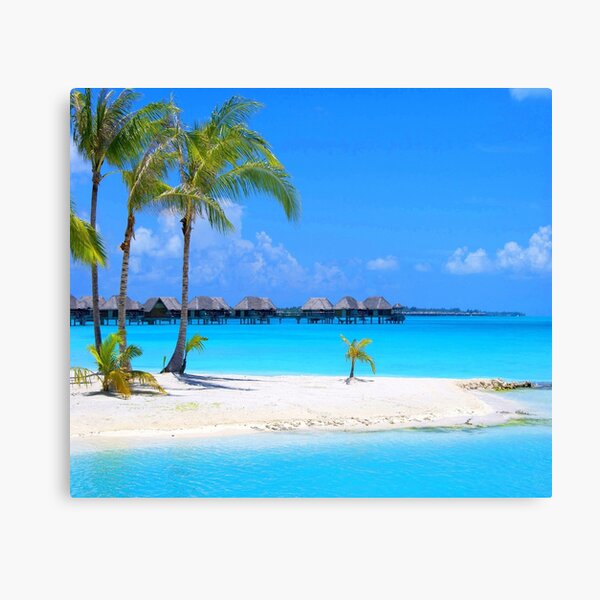 "Island Time" Canvas Print for Sale by christineiris Redbubble