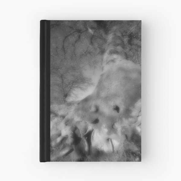 Item preview, Root to canopy: a mysterious world designed and sold by Richard Ion.
