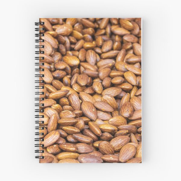 Item preview, Almond designed and sold by AlizadaStudios.
