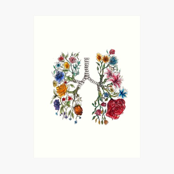 Arte de flores y anatomía pulmonar Lámina artística