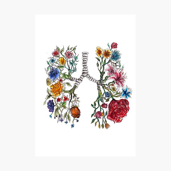 Lung Anatomy and Flowers Art Photographic Print