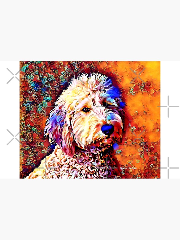 Labradoodle Dog by krchmar