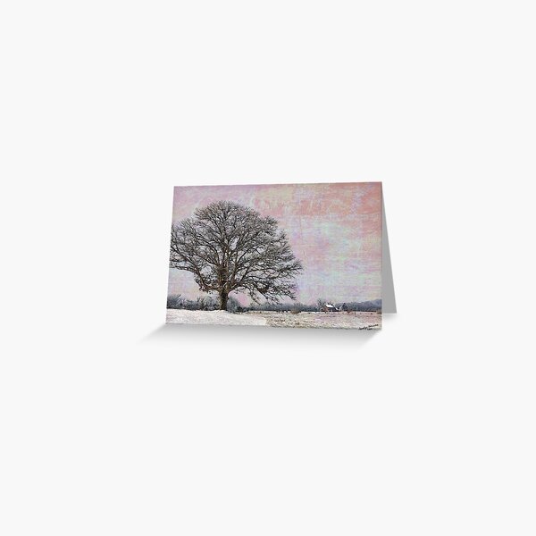 Oak Tree in Field Greeting Card