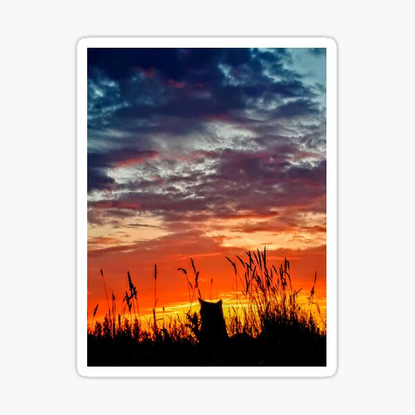 The Lion King Sticker