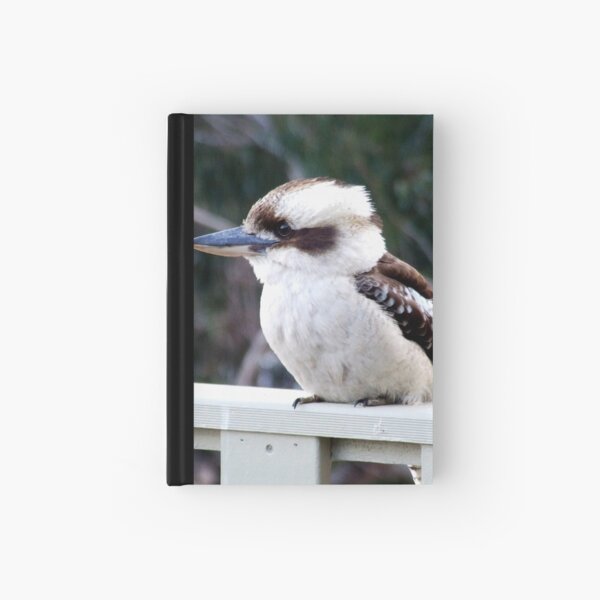 Australian kookaburra Hardcover Journal