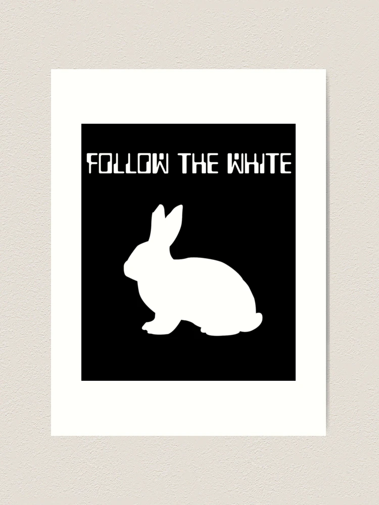Follow the white Rabbit
