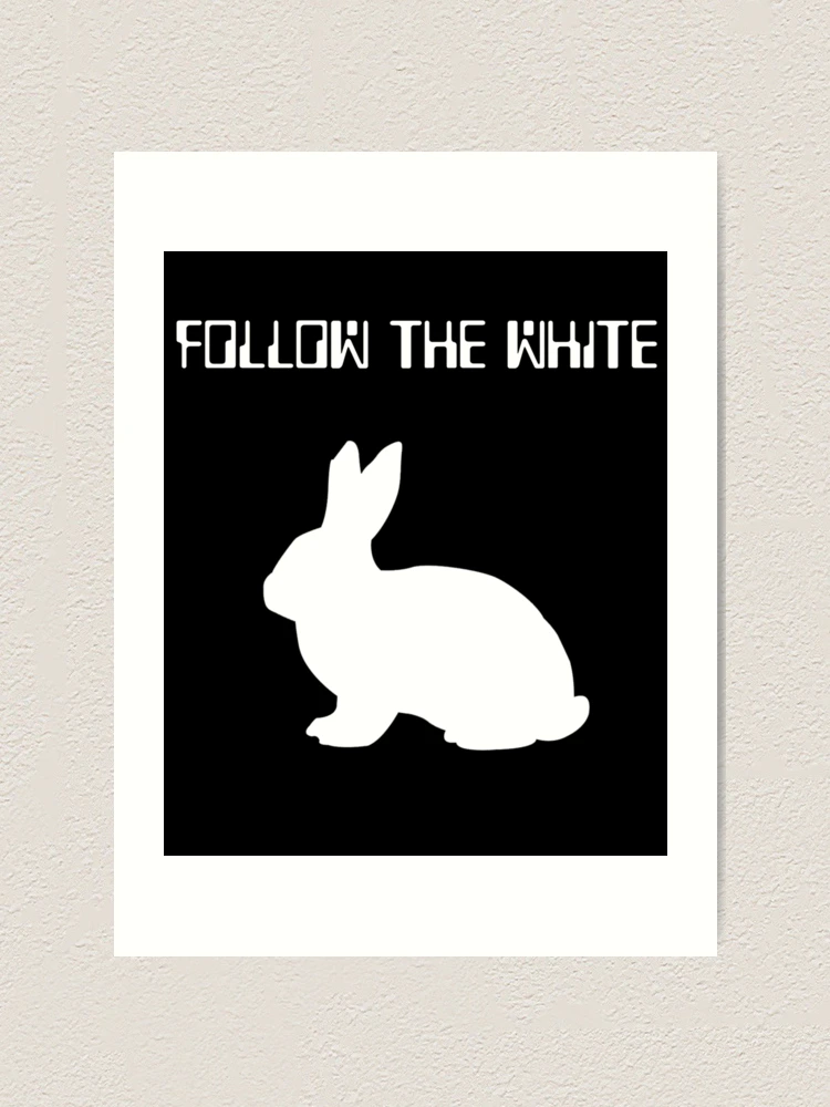 Follow the white Rabbit