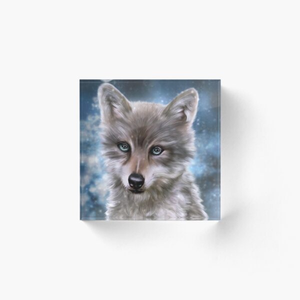 Little wolf Acrylic Block